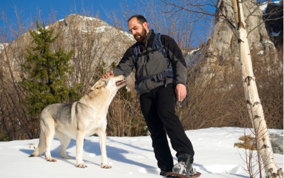 image for January is Walk Your Dog Month!